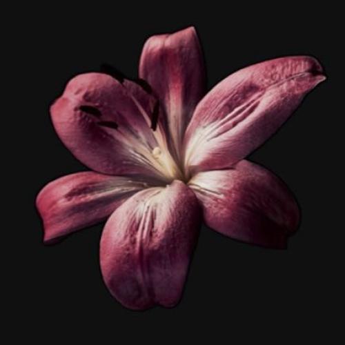 สมาชิกหมายเลข 8962026