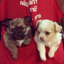 สมาชิกหมายเลข 3753875