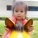 สมาชิกหมายเลข 4217767