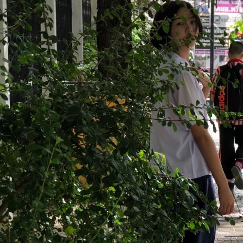 สมาชิกหมายเลข 4251792