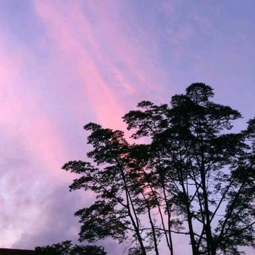 สมาชิกหมายเลข 4964740