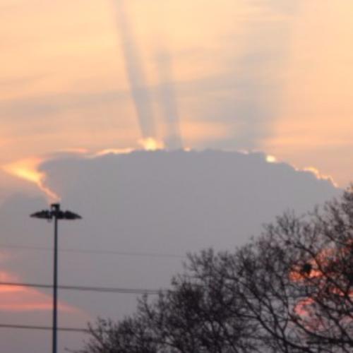 สมาชิกหมายเลข 5767713