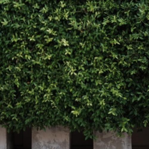 สมาชิกหมายเลข 5777233