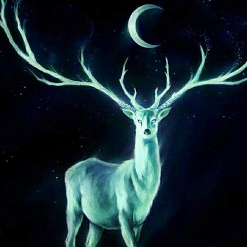 สมาชิกหมายเลข 5845966