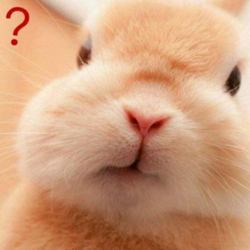 สมาชิกหมายเลข 5846237