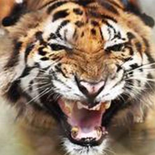 สมาชิกหมายเลข 5634697