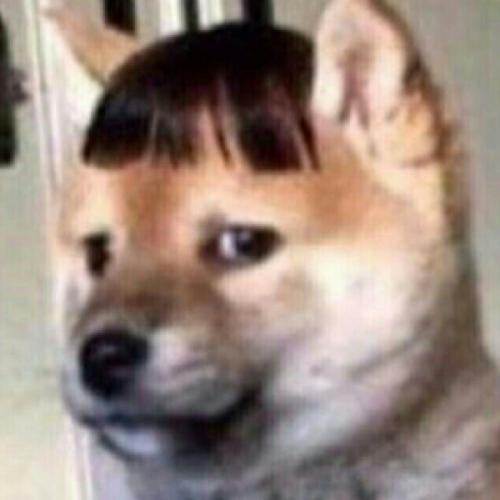 สมาชิกหมายเลข 7146185