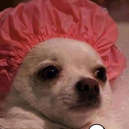 สมาชิกหมายเลข 7147362