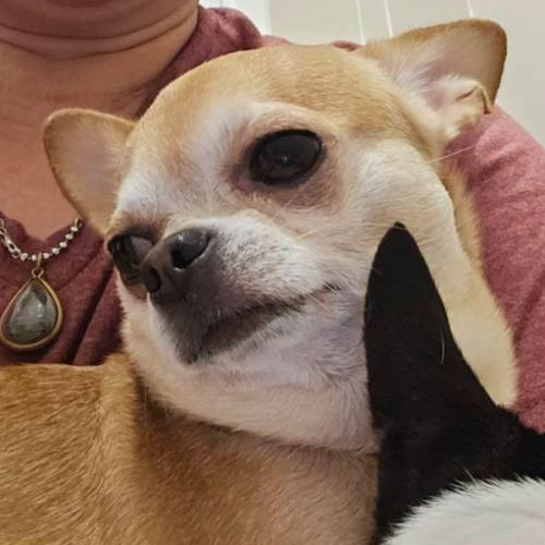 สมาชิกหมายเลข 2243593