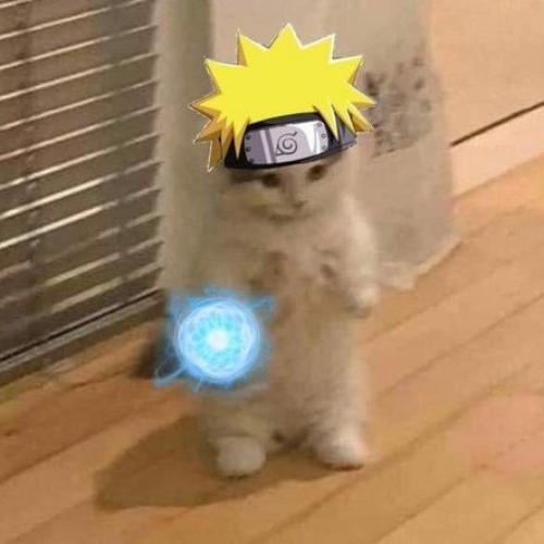 สมาชิกหมายเลข 7940033