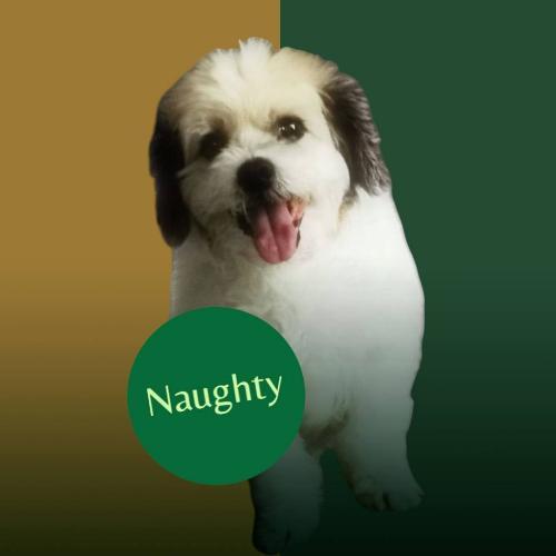 เพลงเบาๆเคล้าสายฝน