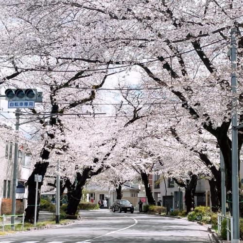 สมาชิกหมายเลข 8963243