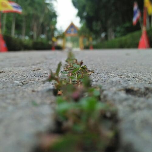 สมาชิกหมายเลข 4611647