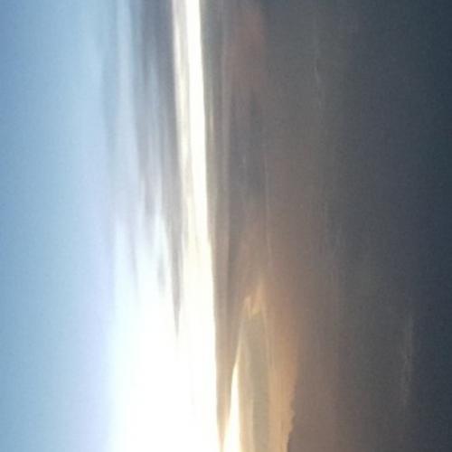 สมาชิกหมายเลข 1119096