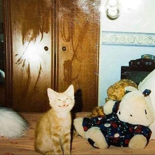 สมาชิกหมายเลข 4765784