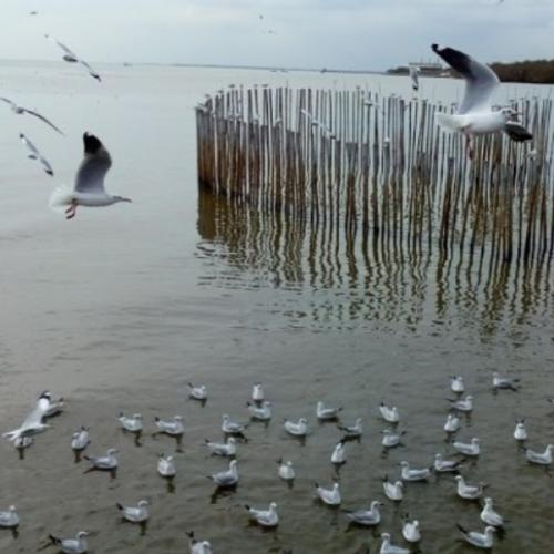 สมาชิกหมายเลข 5846440