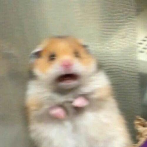 สมาชิกหมายเลข 5846574