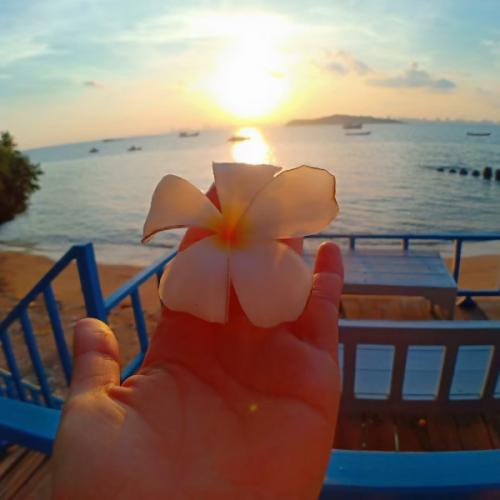 สมาชิกหมายเลข 5847024