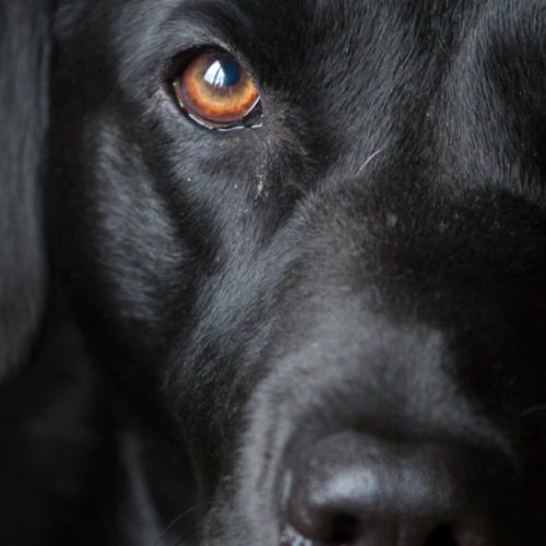 สมาชิกหมายเลข 5847215