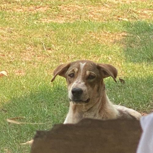 สมาชิกหมายเลข 1629312