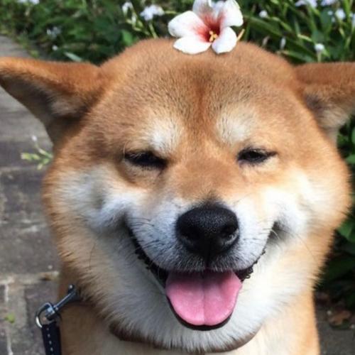 สมาชิกหมายเลข 7148247