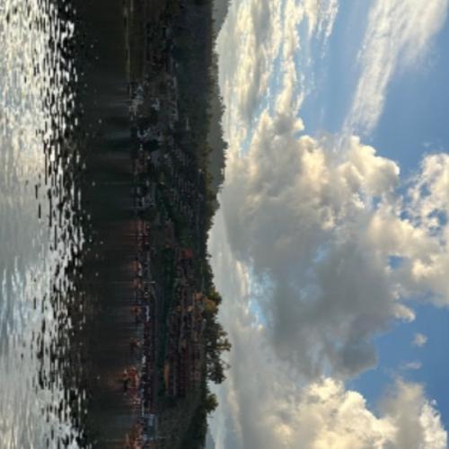 ชะอมไข่เจียวกรอบ