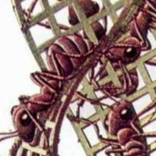 สมาชิกหมายเลข 2338304