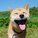 สมาชิกหมายเลข 2733370