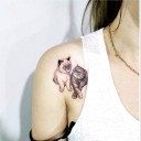 สมาชิกหมายเลข 3754790