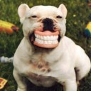 สมาชิกหมายเลข 3754818