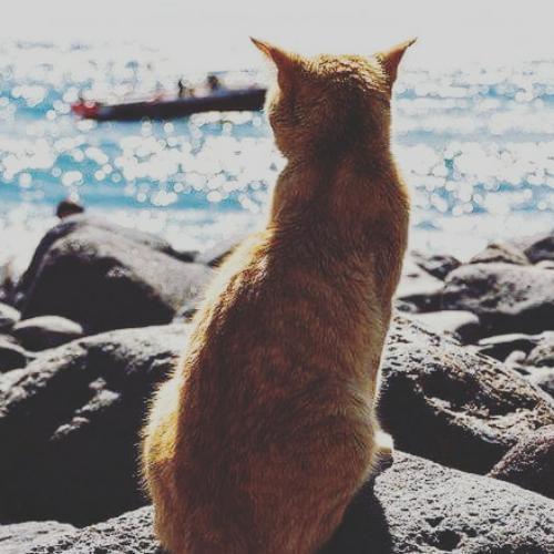 สมาชิกหมายเลข 4612625