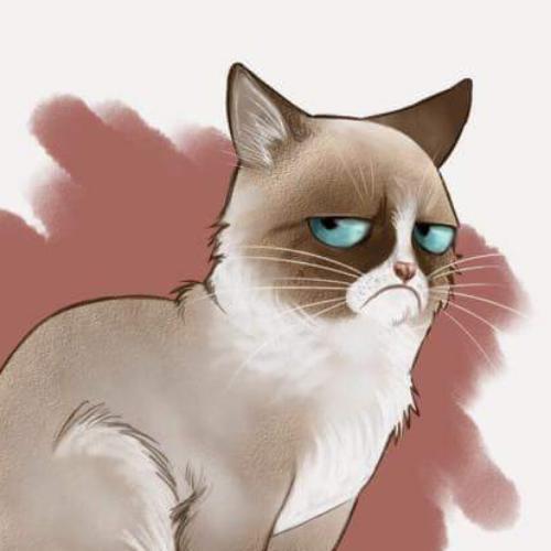 สมาชิกหมายเลข 4965420