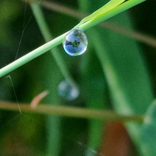 สมาชิกหมายเลข 5092280