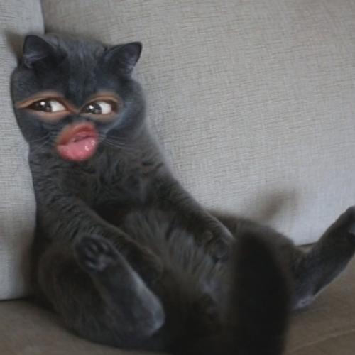 สมาชิกหมายเลข 5847341