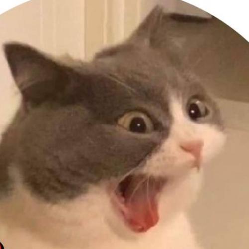 สมาชิกหมายเลข 4363715