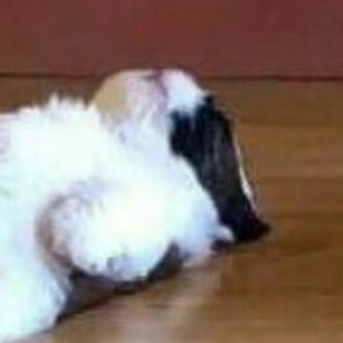 สมาชิกหมายเลข 7106016