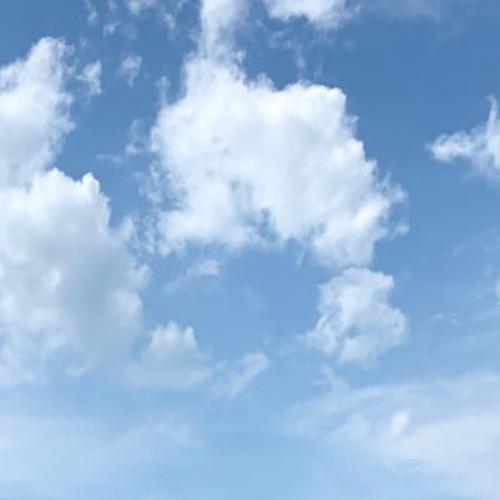 สมาชิกหมายเลข 7148622