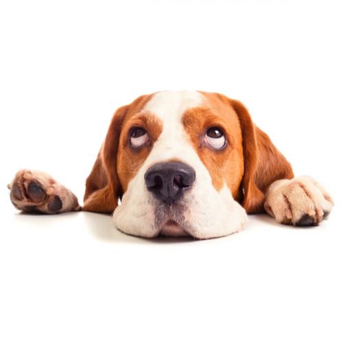 สมาชิกหมายเลข 7148695