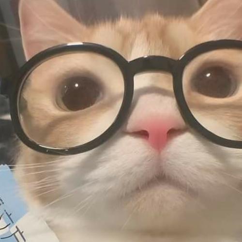 สมาชิกหมายเลข 7575814