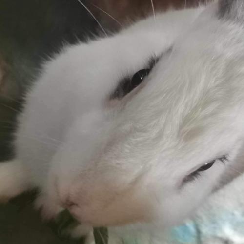 สมาชิกหมายเลข 7941482