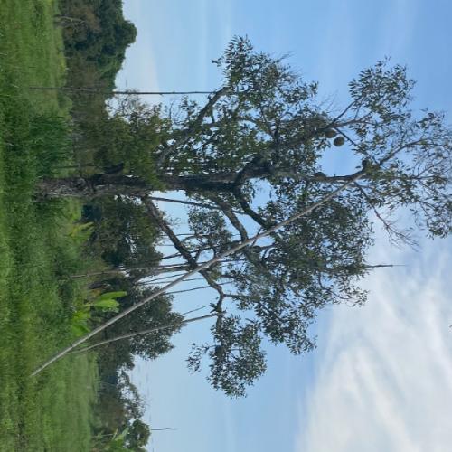 สมาชิกหมายเลข 8965567