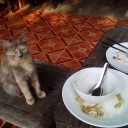 สมาชิกหมายเลข 3853698