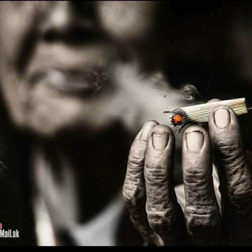 สมาชิกหมายเลข 4219247