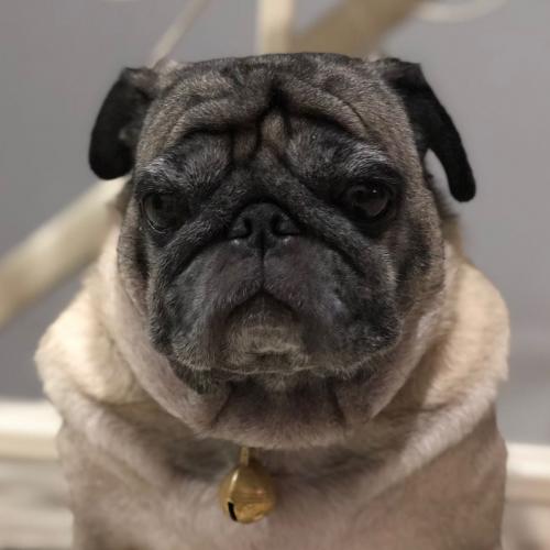 ตบ แปะ ชาร์จ