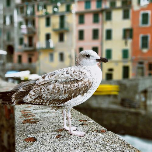 สมาชิกหมายเลข 5362607