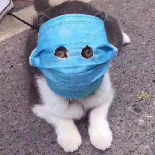 สมาชิกหมายเลข 3264083