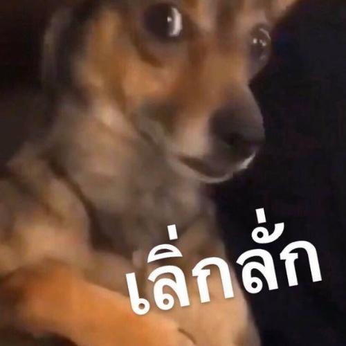 สมาชิกหมายเลข 6226826