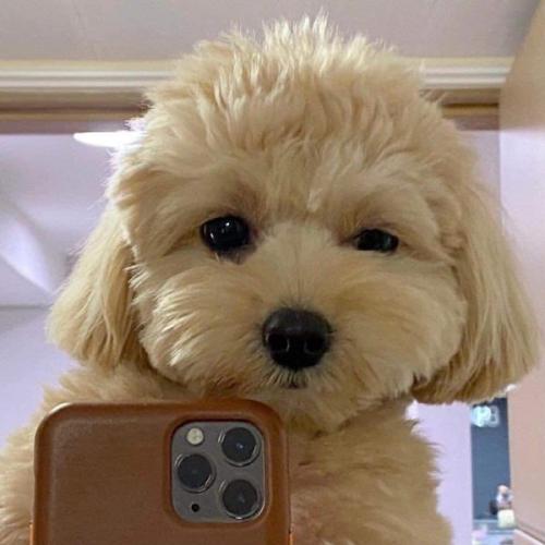 สมาชิกหมายเลข 6450370