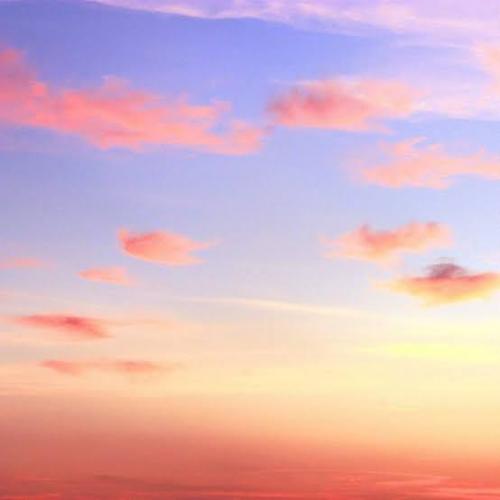 สมาชิกหมายเลข 6985130