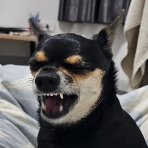 สมาชิกหมายเลข 7940948